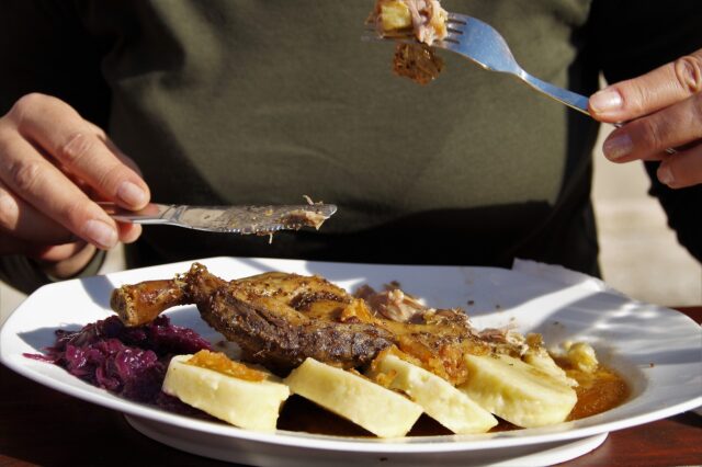 A plate of traditional Czech food: goose, dumplings and red cabbage.